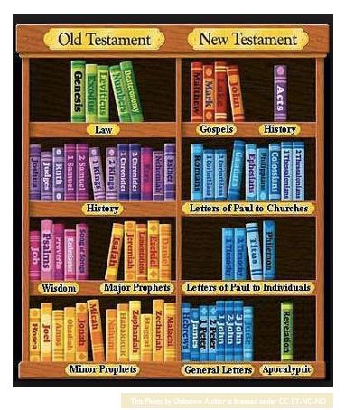 Image of the books of the Bible on a bookshelf