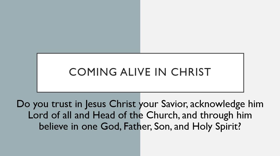 Coming alive in Christ - Do you trust in Jesus Christ your Savior, acknowledge him Lord of all and Head of the Church, and through him believe in one God, Father, Son, and Holy Spirit?