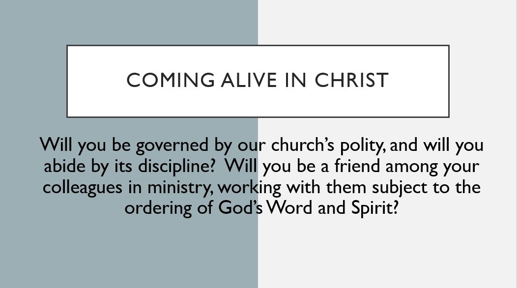 Coming alive in Christ Will you be governed by our church’s polity, and will you abide by its discipline?  Will you be a friend among your colleagues in ministry, working with them subject to the ordering of God’s Word and Spirit?