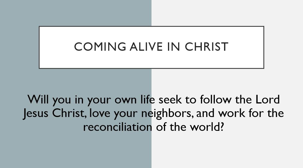 Coming alive in Christ Will you in your own life seek to follow the Lord Jesus Christ, love your neighbors, and work for the reconciliation of the world?
