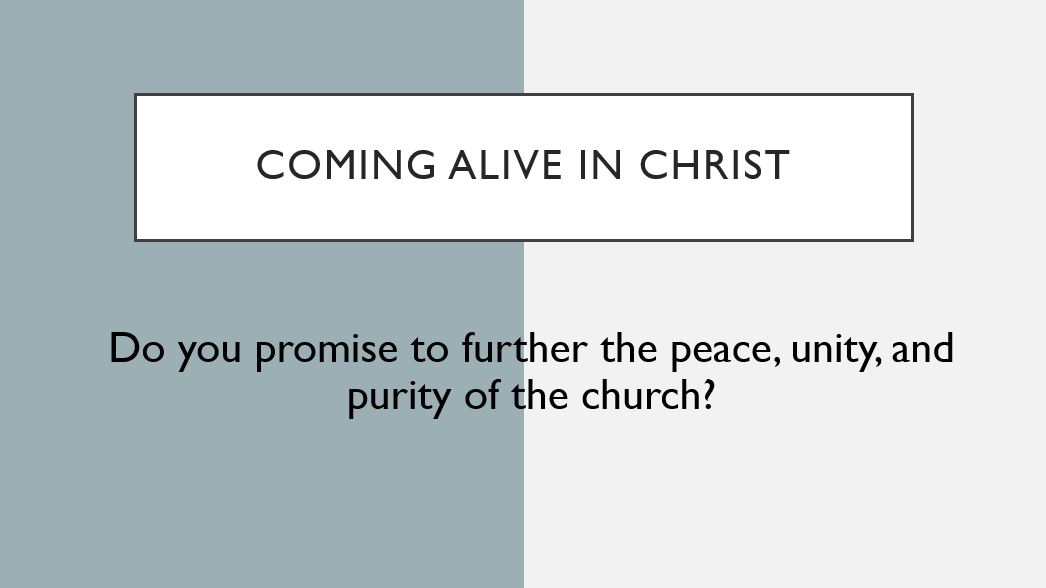 Coming alive in Christ Do you promise to further the peace, unity, and purity of the church?