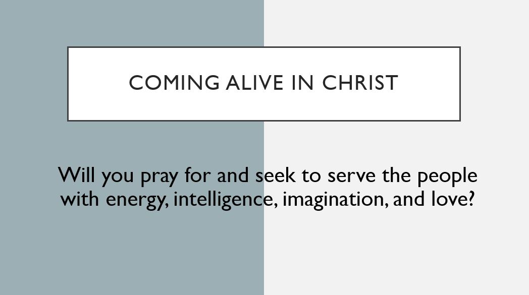 Coming alive in Christ Will you pray for and seek to serve the people with energy, intelligence, imagination, and love?